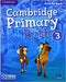 Primary Path Activity Book with Online Resources 3