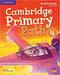 Primary Path Activity Book with Online Resources 4