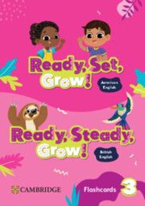 American Ready Set Grow Flashcards