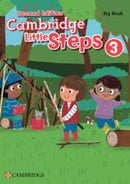Little Steps 2ed Big Book Level 3