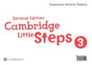 Little Steps 2ed Posters Level 3