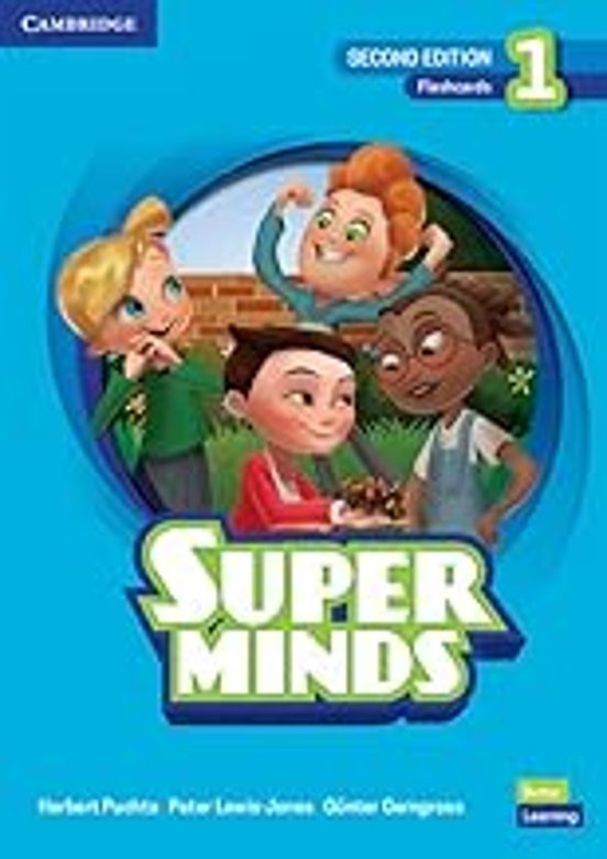 Super Minds 2ed Flashcards