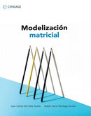 MODELIZACIÓN MATRICIAL