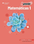 Aprendo + Matemáticas 1 Cuaderno de trabajo