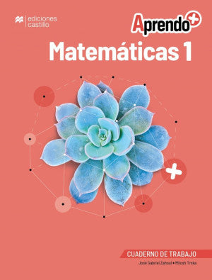Aprendo + Matemáticas 1 Cuaderno de trabajo