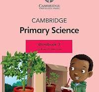 Cambridge Primary Science  Workbook 3 with Digital Access (1 Year)