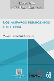 Los amparos primigenios (1848-1865)