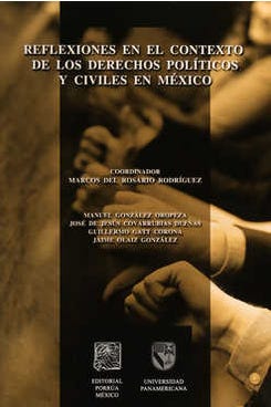 Reflexiones en el contexto de los Derechos Políticos y Civiles en México
