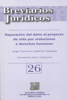 Reparación del daño al proyecto de vida por violaciones