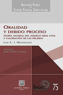 Oralidad y debido proceso