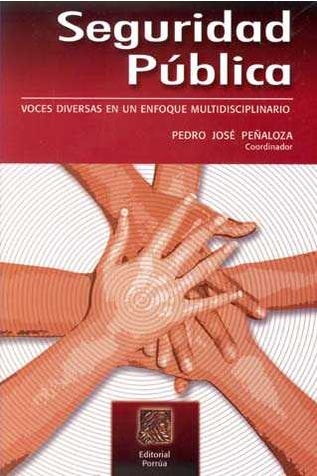 Seguridad pública voces diversas en un enfoque multidisciplinario