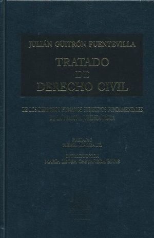 Tratado de derecho civil. Tomo 6