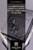 La protección constitucional de los derechos humanos