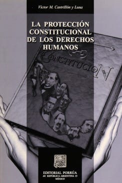 La protección constitucional de los derechos humanos
