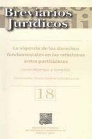 Vigencia de Los derechos fundamentales en las relaciones