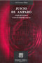 Juicio de amparo: inquietudes contemporáneas