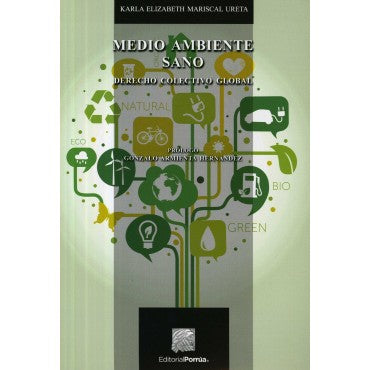 Medio ambiente sano derecho colectivo global
