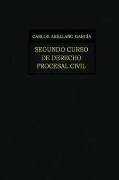 Segundo curso de derecho procesal civil