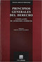 Principios Generales Del Derecho