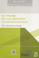 La prueba en los procesos constitucionales