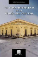 Tratado sistemático de la teoría del proceso