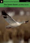 PENG ACT RDG 3: THE SNOW GOOSE AND OTHER STORIES BK/ CD ROM
