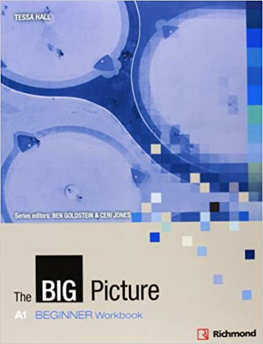 The Big picture A1 Beginner Workbook
