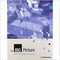 The Big Picture B1+ Intermediate Workbook