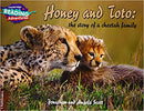 Honey and Toto: the story of a cheetah family STRAND 1: PATHFINDERS