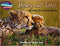 Honey and Toto: the story of a cheetah family STRAND 1: PATHFINDERS