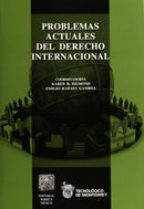 Problemas actuales del derecho internacional