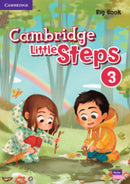 Little Steps Big Book 3