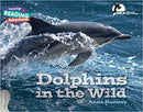 Dolphins in the Wild STRAND 3: EXPLORERS
