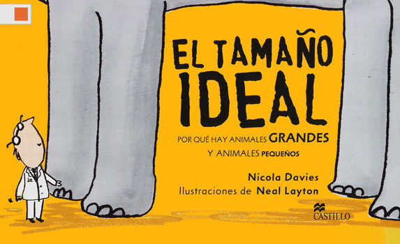 El tamaño ideal
