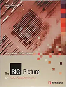 THE BIG PICTURE C1 ADVANCED WORKBOOK