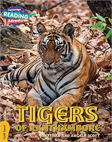 LOOKING FOR A TIGER Gold Band