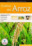 CULTIVO DE ARROZ.RIMACHE