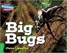 CRA - Big Bugs - Green Band