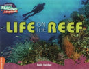CRA - Life on the Reef - Orange Band