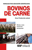 BOVINOS DE CARNE