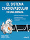 EL SISTEMA CARDIOVASCULAR EN UNA MIRADA