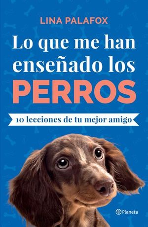 Lo que me han enseñado los perros