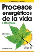 PROCESOS ENERGÉTICOS DE LA VIDA: FOTOSÍNTESIS