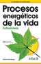 PROCESOS ENERGÉTICOS DE LA VIDA: FOTOSÍNTESIS