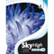 SKY HIGH WORKBOOK 2B