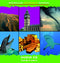 AUDIO CD LEVELS 5-6 (CONTAINING TITLES MARKED WITH)