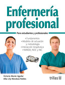 ENFERMERIA PROFESIONAL: FUNDAMENTOS. MODELOS DE ACTUACION Y METODOLOGÍA. FUNDAMENTOS. MODELOS DE ACTUACIÓN Y METODOLOGÍA. INTERACCIÓN