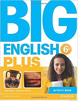 Big English Plus 6 Activity Book