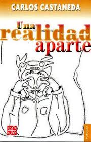 Una realidad aparte. Nuevas conversaciones con don Juan