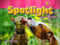 Spotlight on English K Activity Pad